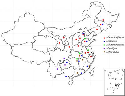 Natural Variation of Lignocellulosic Components in Miscanthus Biomass in China